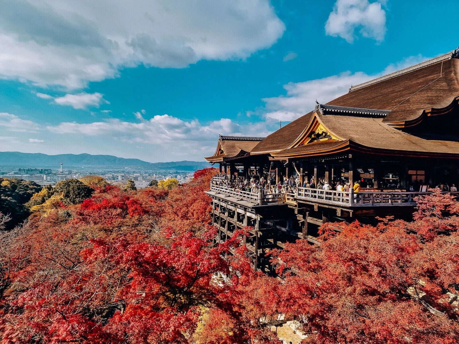 10 tempat daun musim gugur di Kyoto untuk dingunjungi musim gugur saat ini