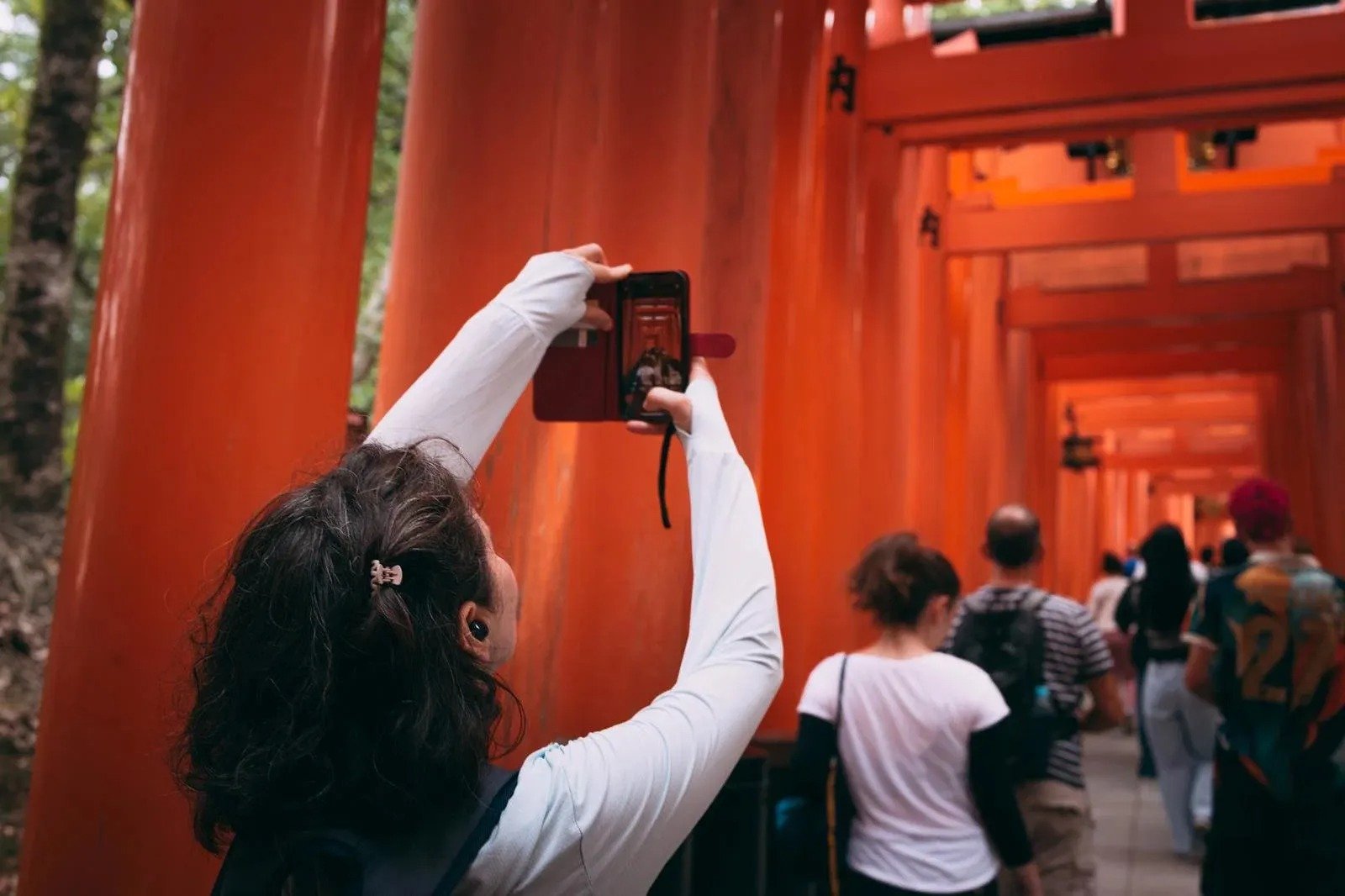 blog