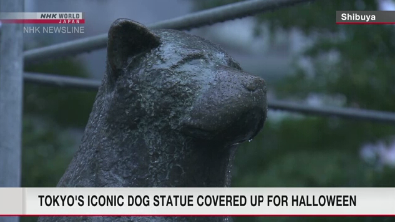 Patung Hachiko di Shibuya Ditutup Saat Halloween