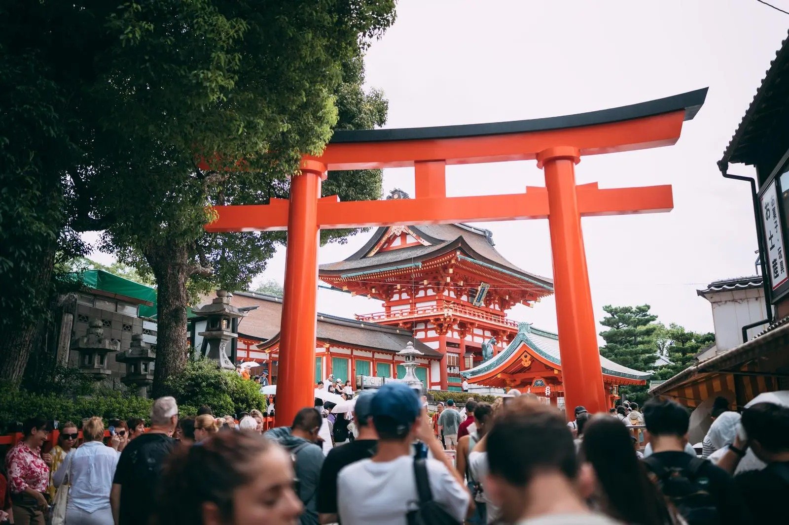 blog
